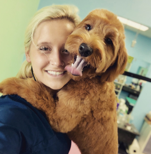 Zoom groom hotsell llc